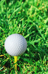 Vertical of golf ball and grass