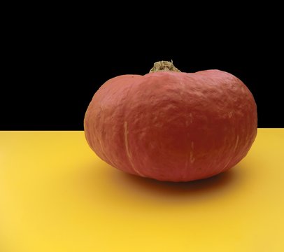 Winterk&uuml;rbis