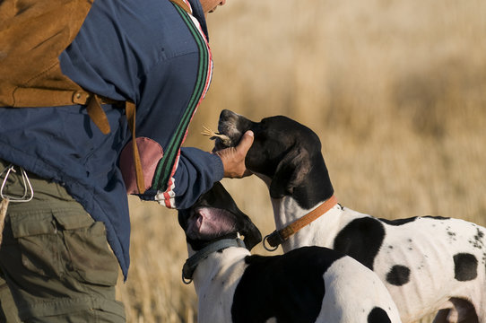 Cazador con sus perros