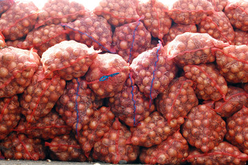 Bags with onion