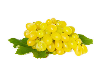 Bunch with leaves isolated on a white background