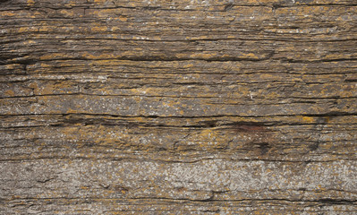 layered rock texture (Cliff face - Scotland, Wick)