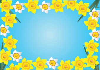 daffodil frame