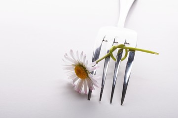 flower and fork