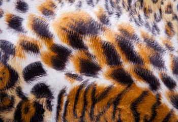 Leopard Fur background