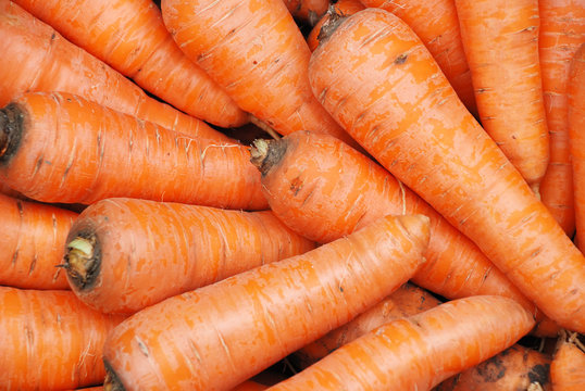 Background from fresh carrots