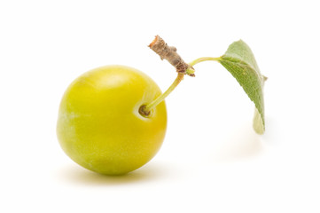 fresh plum
