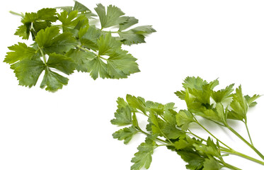 leaves of parsley and celery