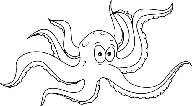 Krake