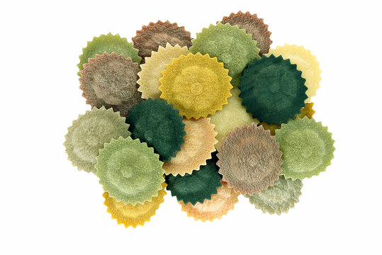 Pasta of different colours - cappellacci - isolated