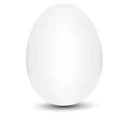 oeuf sur fond blanc