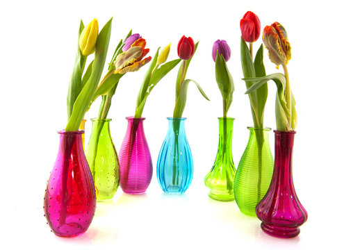 Colorful tulips in glass vases