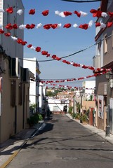 Fototapeta premium Gines a festa