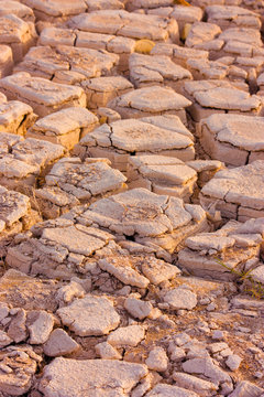 desert