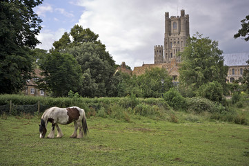 Tthe centre of Ely with the cathedral