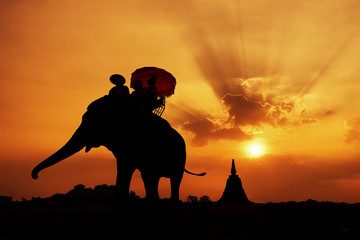 Fototapeta na wymiar Sylwetka słonia