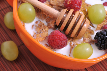 bowl of muesli with fruits and honey