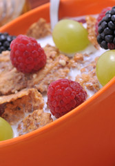 bowl of muesli with fruits and honey