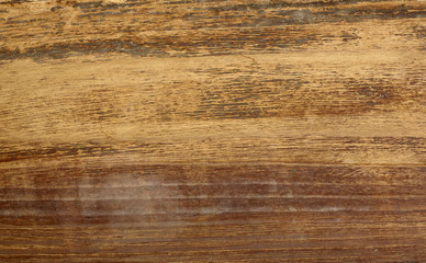 wooden background nature