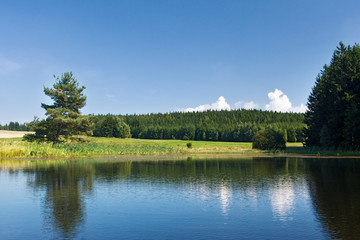 Pond in the summer countryside