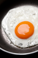 eggs in a pan