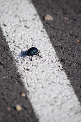 Ne pas dépasser les limites