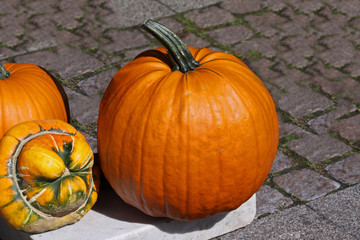 Kürbis,Pumpkin