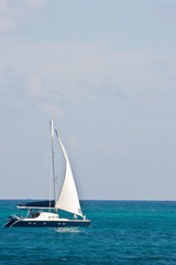 Blue and White Sailboat on Azure Water