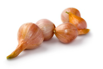 Onions isolated on white background