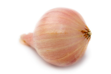 Onion isolated on white background