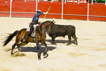 Bullfight on horseback. Typical Spanish bullfight.