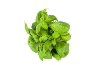 basil on white