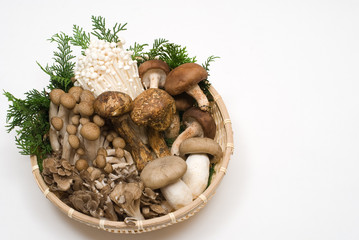 きのこの盛り合わせ