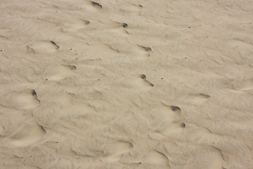 Wenn das Wasser weg ist