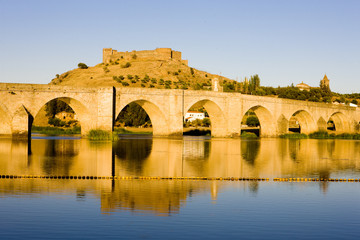 Fototapeta premium Medellin, Badajoz Province, Extremadura, Spain