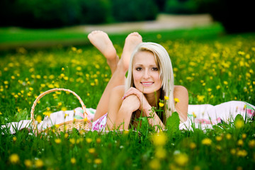 picnic on the meadow