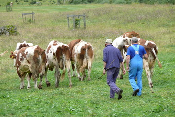 Bauern beim Almabtrieb