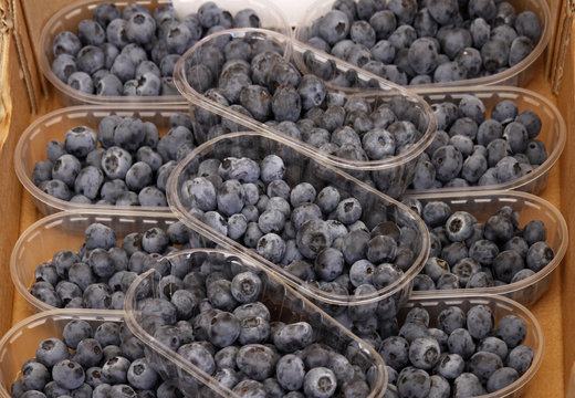 Blaubeeren - Blueberry, bilberry (Blueberries, bilberries)