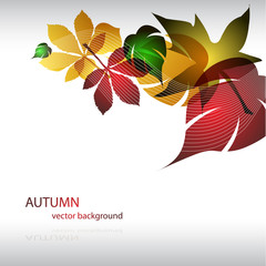 abstract background with autumn leaves