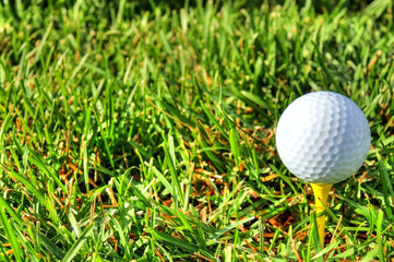 Golf ball to the right and grass
