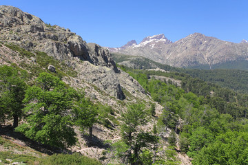 View to Paglia Orba from Bocca (pass) San Pedru,GR20, Corse