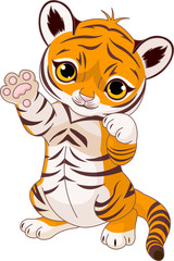 Cute playful tiger cub