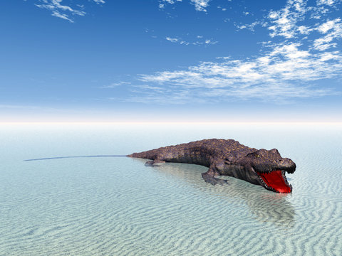 Crocodile at the Beach