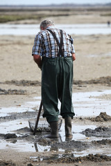 Hommes cherchant des palourdes