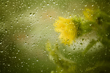 Water drops on glass with sunflowers behind.
