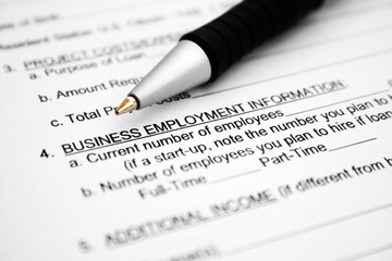 Business employment information