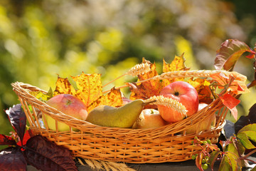 Autumn basket full of fruits