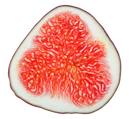 Cross-section of fig tree fruit isolated on white