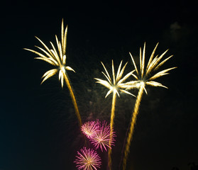 fireworks as palm at night