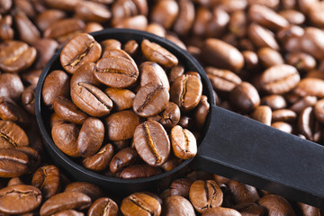 coffee beans in scoop